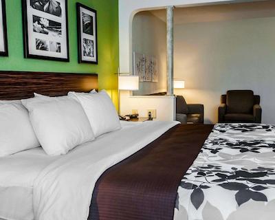 اسلیپ این اند سویتز لاکسید