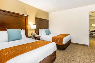 ازول این اند سویتز سان دیگو