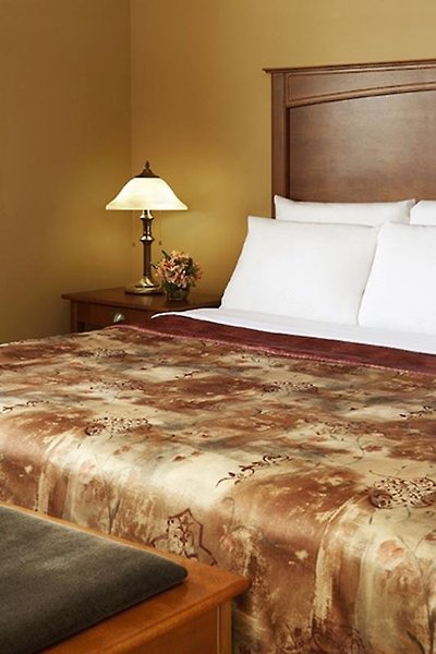 تمپل گاردنز هتل اند اسپا