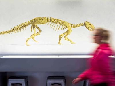 هیتون کانسپت کنسینگتون