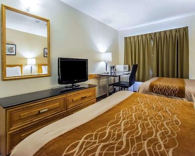 کمفرت این سودبوری ایست