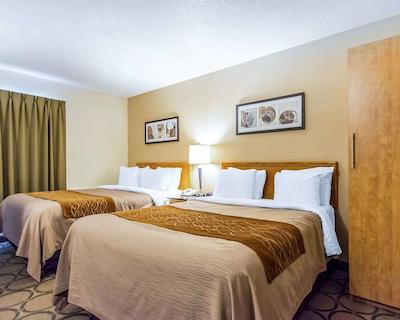 کمفرت این سودبوری ایست