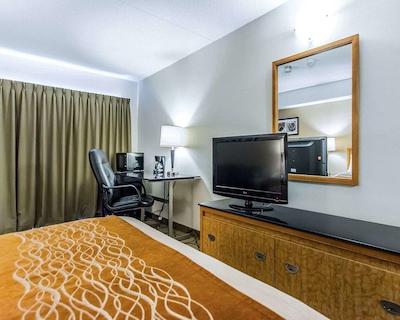 کمفرت این سودبوری ایست