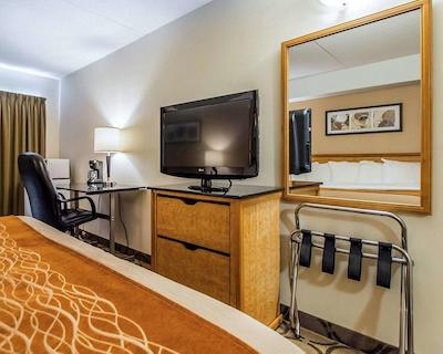 کمفرت این سودبوری ایست