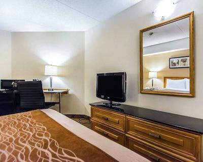 کمفرت این سودبوری ایست