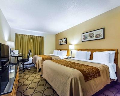 کمفرت این سودبوری ایست