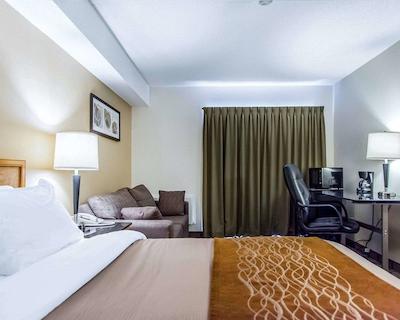 کمفرت این سودبوری ایست