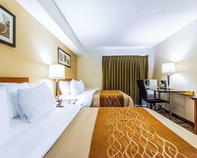 کمفرت این سودبوری ایست