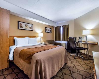 کمفرت این سودبوری ایست