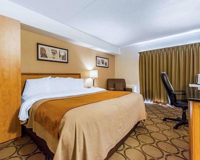 کمفرت این سودبوری ایست