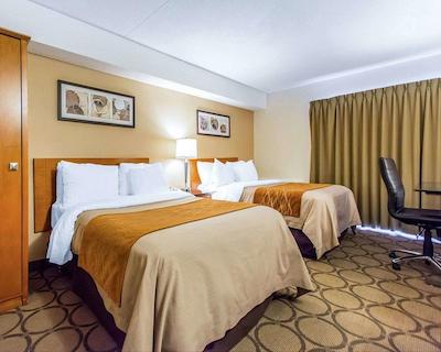 کمفرت این سودبوری ایست