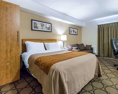 کمفرت این سودبوری ایست