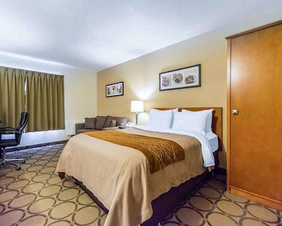 کمفرت این سودبوری ایست