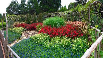 کاندلوود سویتز هونتسویل