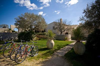 ارمو دلا جیوبیلیانا