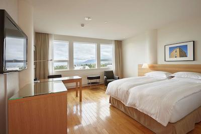 هیلتون نردیکا