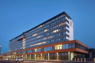 هیلتون نردیکا