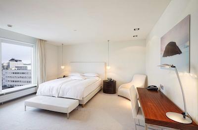 هیلتون نردیکا