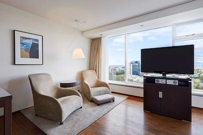 هیلتون نردیکا