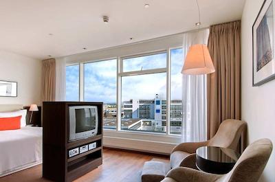 هیلتون نردیکا