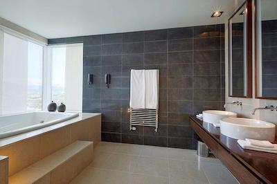 هیلتون نردیکا