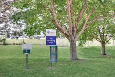 کاندلوود سویتز اسالینا