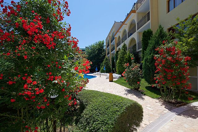یاور پالاس
