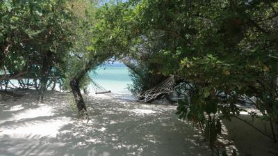 اسمارت لاین اریادو مالدیون