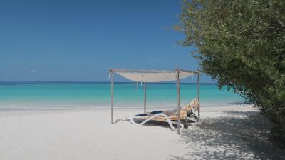 اسمارت لاین اریادو مالدیون