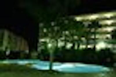 فستیوال ویلیج