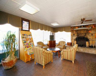 ویلد بیر این