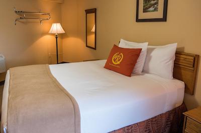 ویلد بیر این