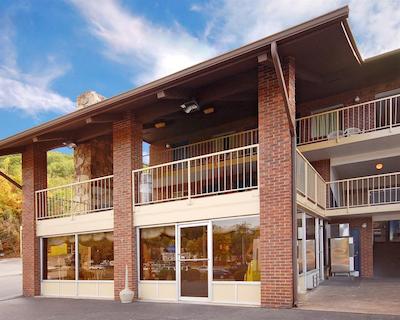 ویلد بیر این