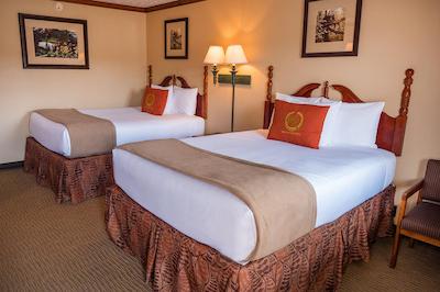 ویلد بیر این