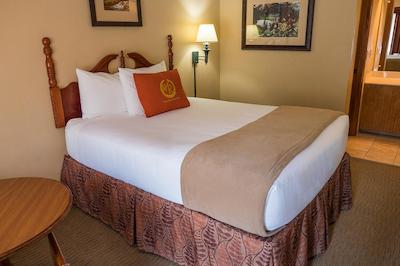 ویلد بیر این