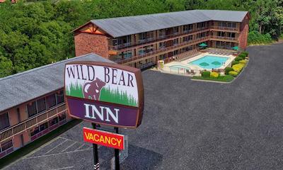 ویلد بیر این