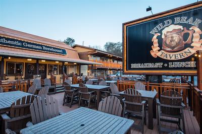 ویلد بیر این