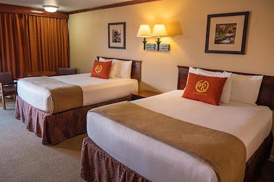 ویلد بیر این