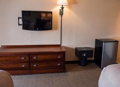 ویلد بیر این