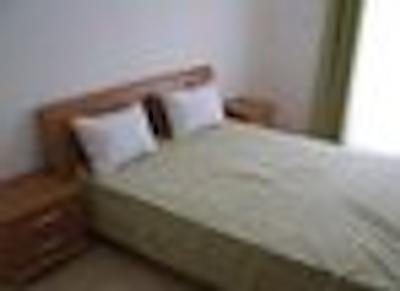 انیتا اپاردتل