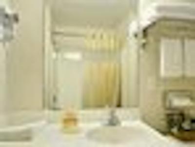 د پالو آلتو این