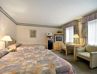 د پالو آلتو این