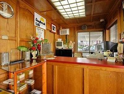 د پالو آلتو این