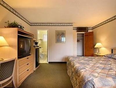 د پالو آلتو این