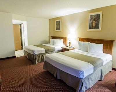 اکنو لج آیرپرت