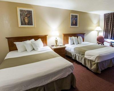 اکنو لج آیرپرت