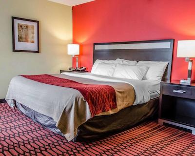 بمنت بای ویندهام هاریسبورگ