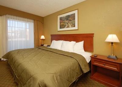 ا ویکتری این اند سویتز فنیکس نرد