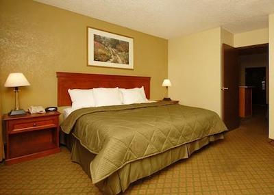 ا ویکتری این اند سویتز فنیکس نرد