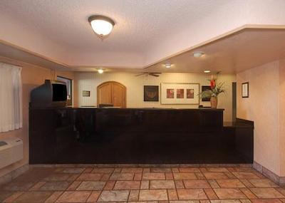 ا ویکتری این اند سویتز فنیکس نرد